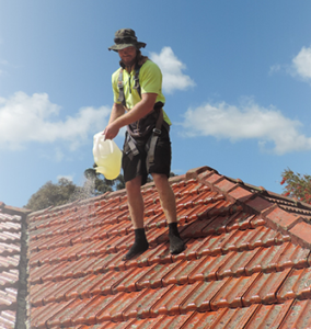 Roof Sterilization